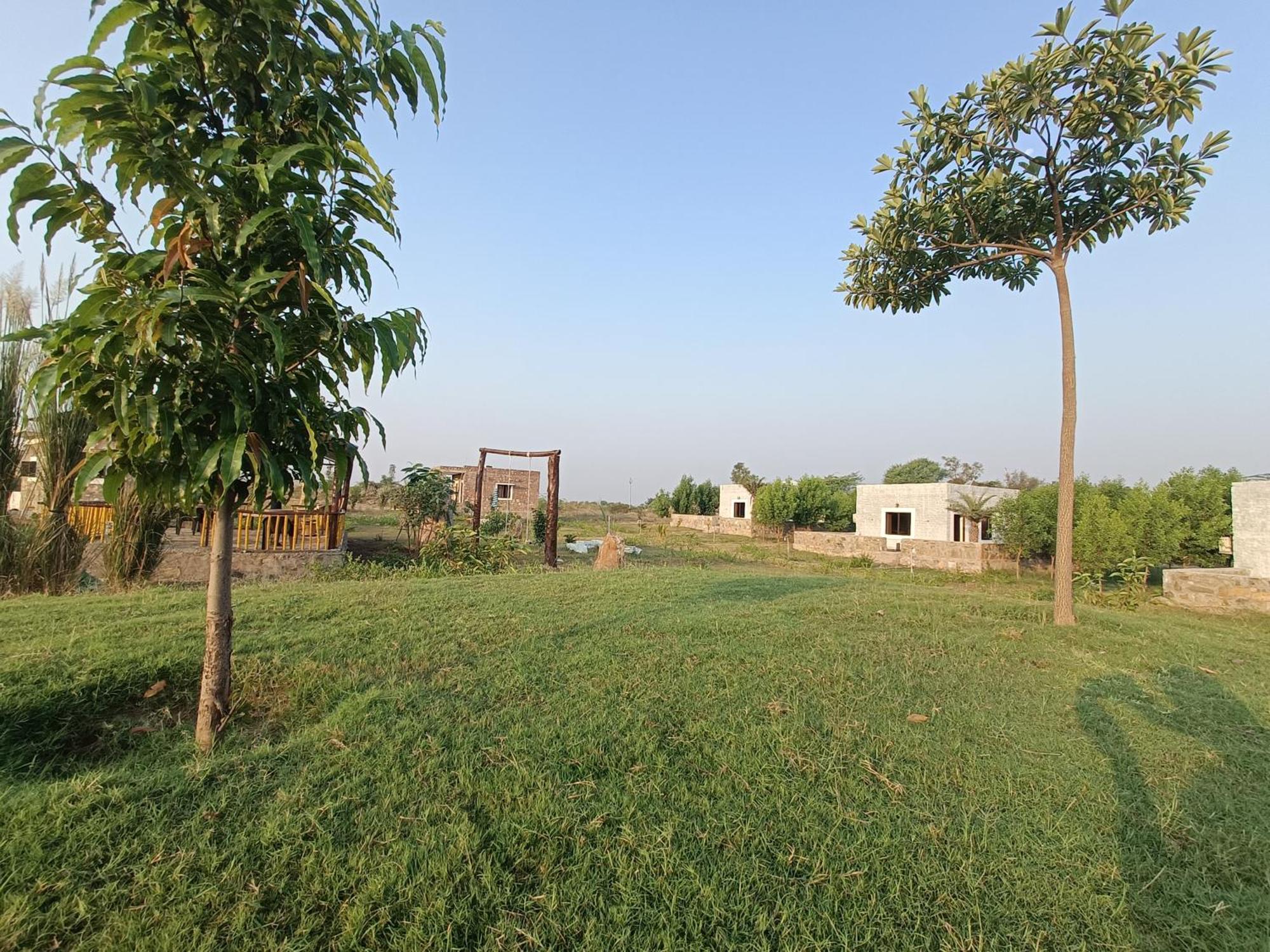 Nana Jawai Wildlife Safari Camp Bed & Breakfast エクステリア 写真