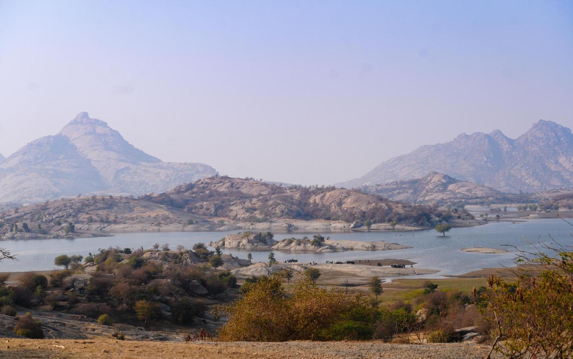 Nana Jawai Wildlife Safari Camp Bed & Breakfast エクステリア 写真