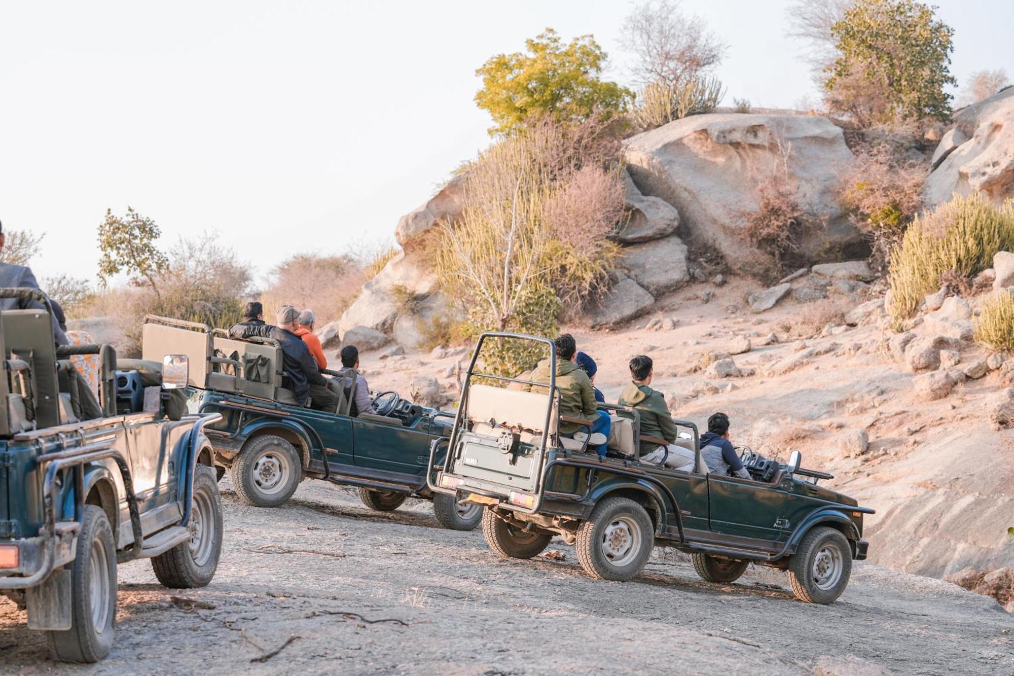 Nana Jawai Wildlife Safari Camp Bed & Breakfast エクステリア 写真